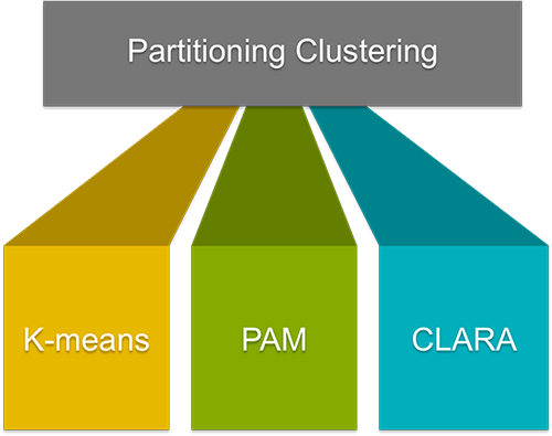 Partitioning Clustering Essentials