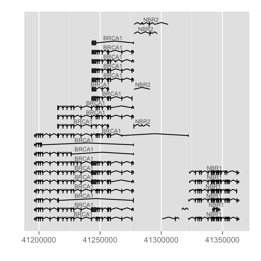 plot of chunk gene-model-from-organismdb