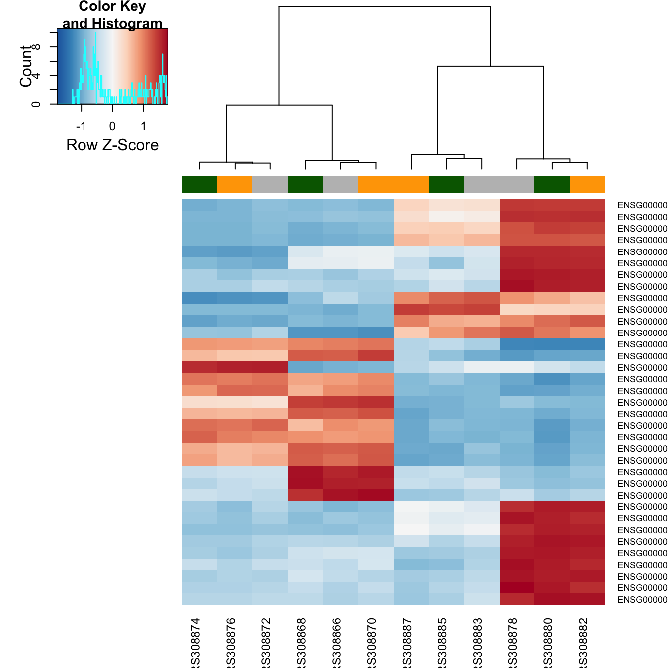 plot of chunk beginner_geneHeatmap