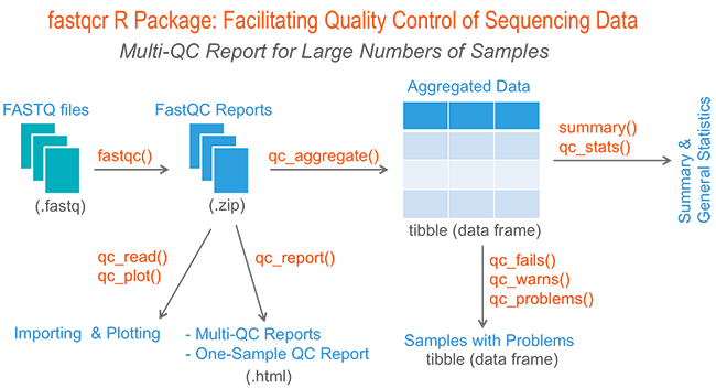 Main functions in the fastqcr package