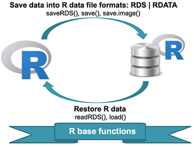 Save data into R data file formats: RDS and RDATA