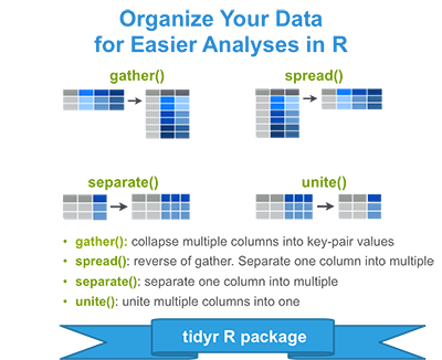 merge-rows-in-r-dplyr