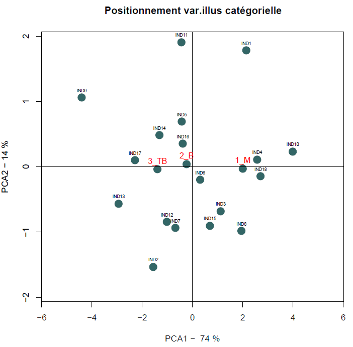 variable qualitative illustrative