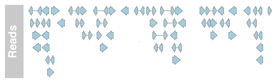 plot of chunk annotation-track-from-file