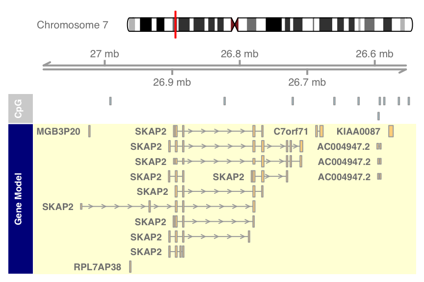 plot of chunk plotting-direction