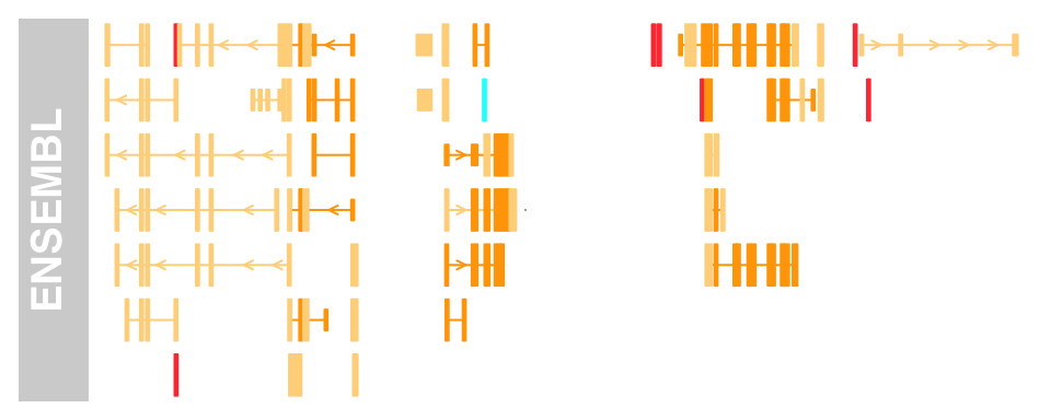 plot of chunk unnamed-chunk-10