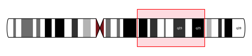 plot of chunk unnamed-chunk-1