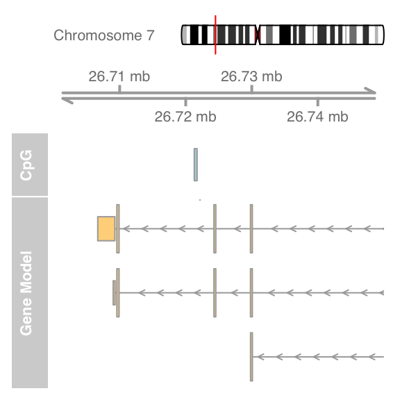 plot of chunk zoom