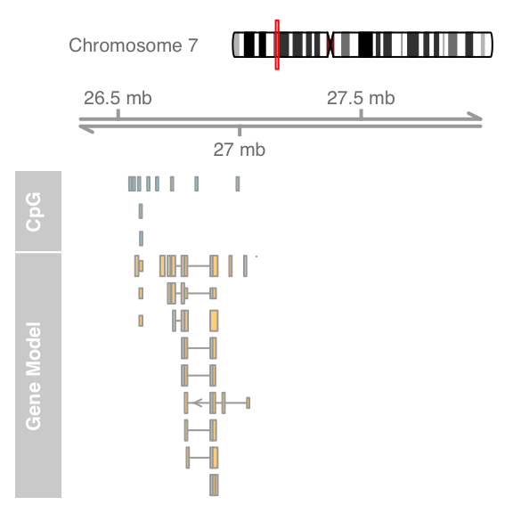 plot of chunk zoom