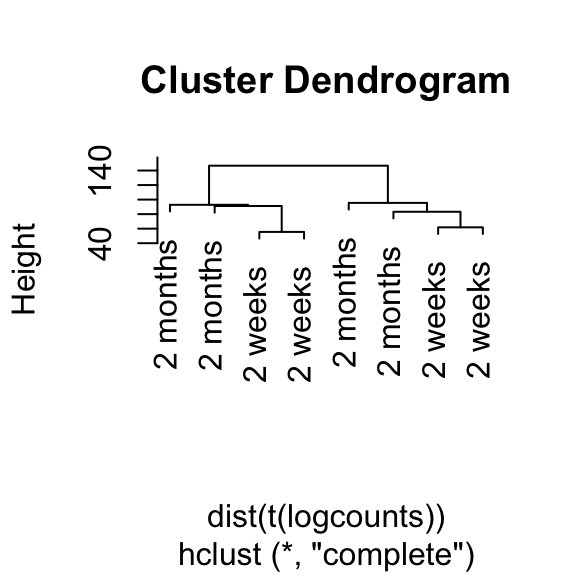 plot of chunk exploratory-data-analysis
