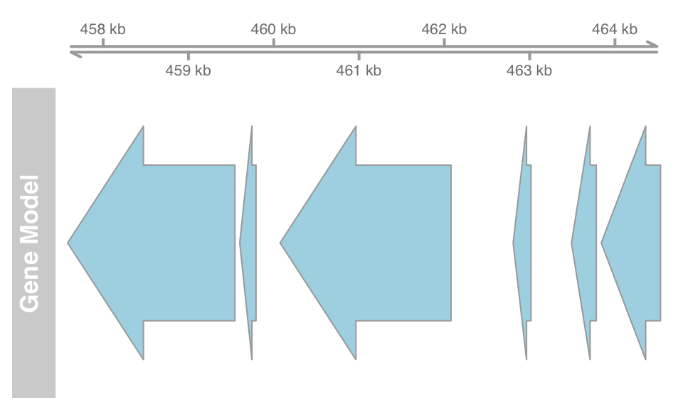 plot of chunk gviz-plot-track