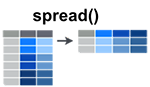 tidyr spread